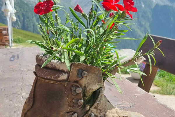 Flug-3x30-deluxe-12 Flug-3x30-deluxe-12