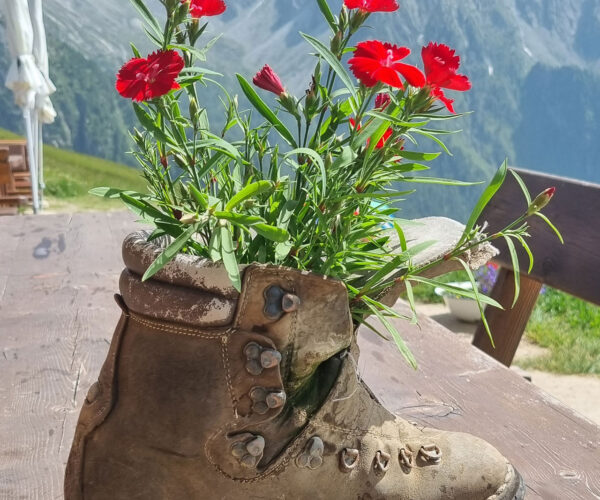 Flug-3x30-deluxe-12 Flug-3x30-deluxe-12