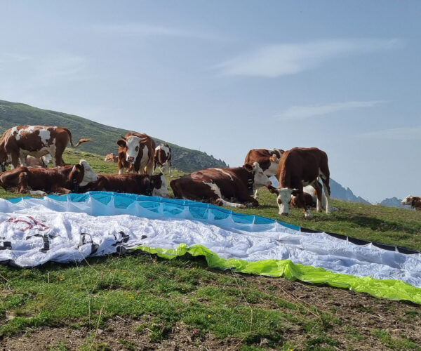 Flug-3x30-deluxe-13 Flug-3x30-deluxe-13