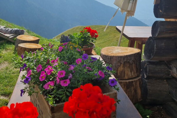 Flug-3x30-deluxe-3 Flug-3x30-deluxe-3