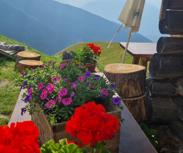 Flug-3x30-deluxe-3 Flug-3x30-deluxe-3