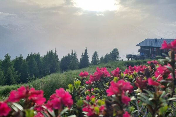 Flug-3x30-deluxe-6 Flug-3x30-deluxe-6