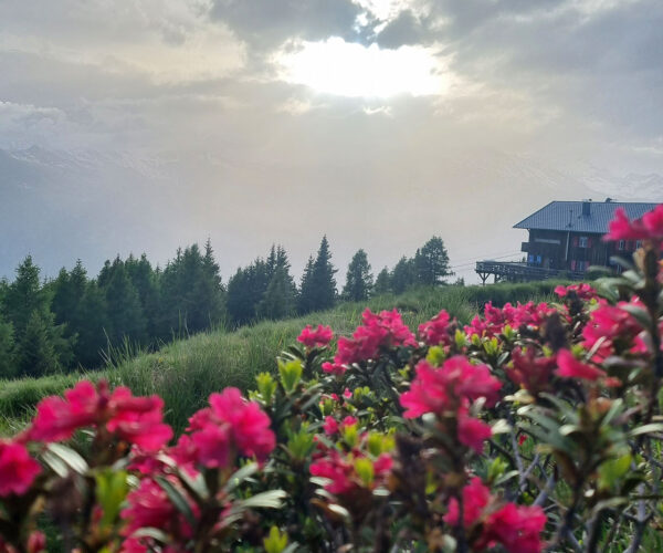 Flug-3x30-deluxe-6 Flug-3x30-deluxe-6