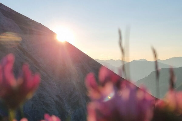 Flug-3x30-deluxe-8 Flug-3x30-deluxe-8