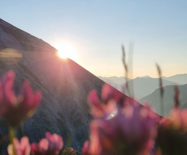 Flug-3x30-deluxe-8 Flug-3x30-deluxe-8